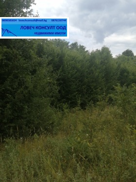 For Sale Plot