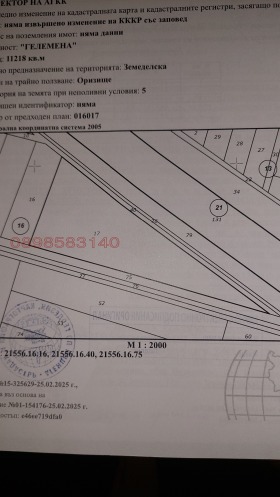 ������ ������� ������