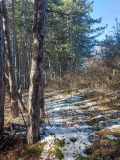 Продава ПАРЦЕЛ, гр. София, с. Подгумер, снимка 2