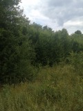 Продава ПАРЦЕЛ, област Ловеч, с. Сопот • 25000 € • 67059194 — Holmes.bg