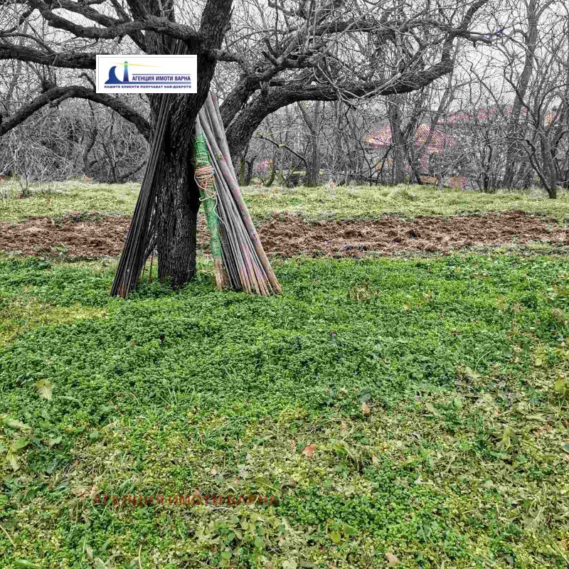 Продава ПАРЦЕЛ в област Варна, с. Близнаци - 3500 кв.м / 86 950 € » 170 059.42 лв., АГЕНЦИЯ ИМОТИ ВАРНА