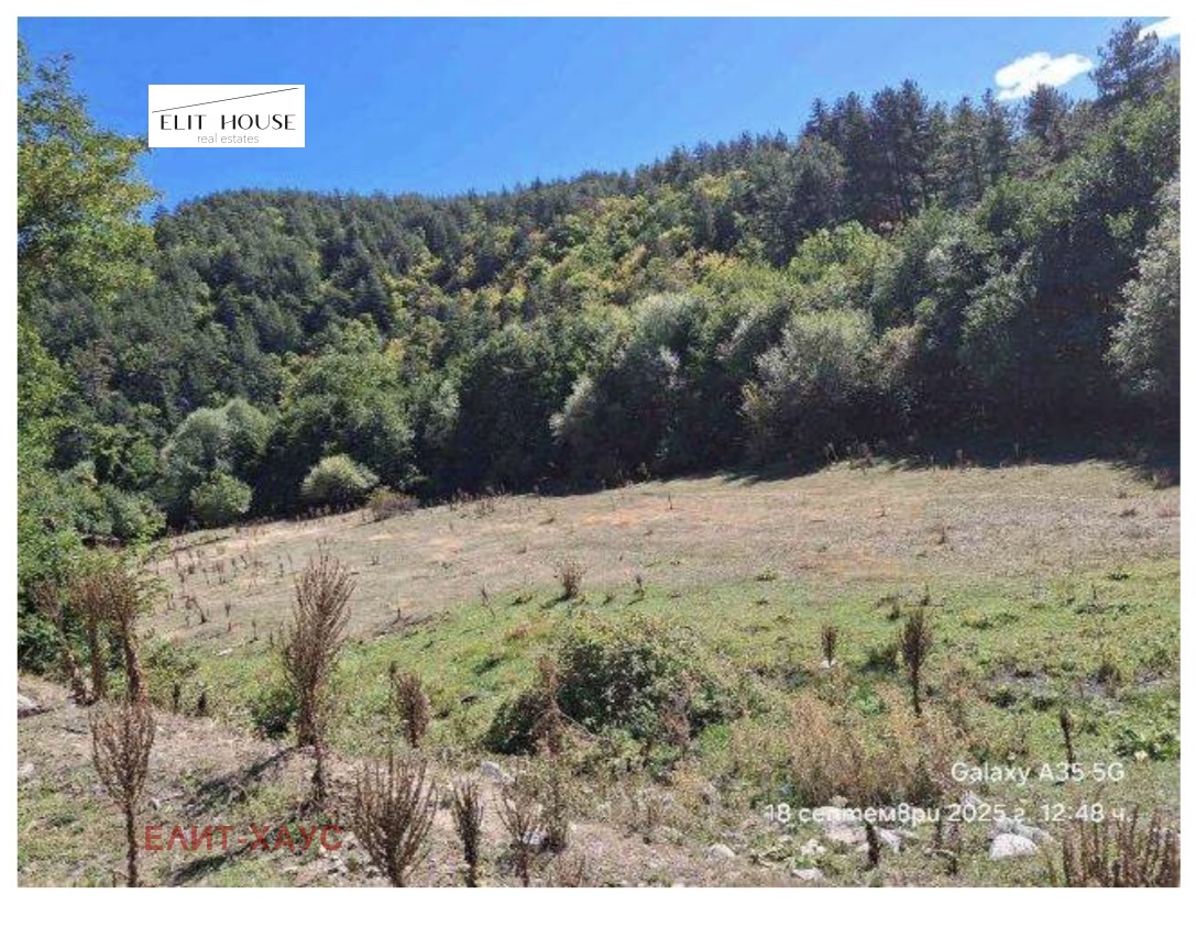 ������� ������ | Imot.bg � ����������� 4