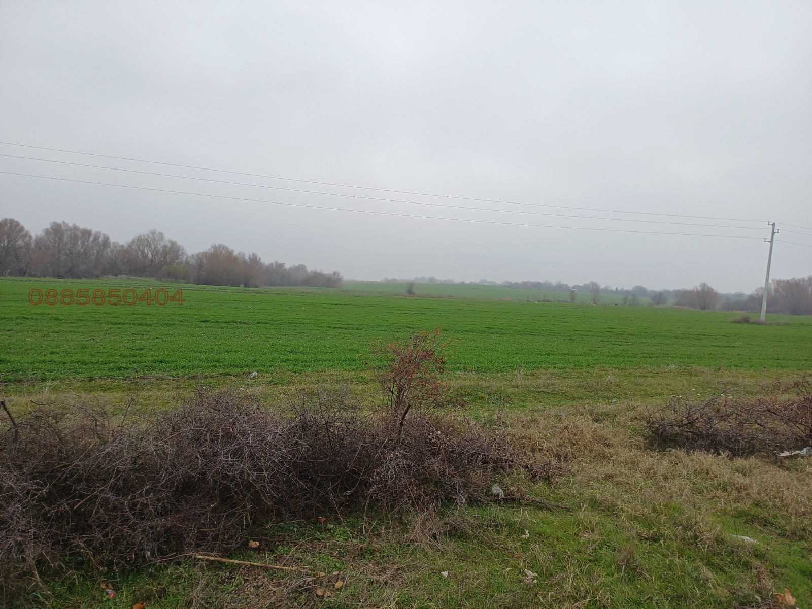Продава ПАРЦЕЛ, гр. Хасково, Промишлена зона - Юг, снимка 3 - Парцели - 56159148