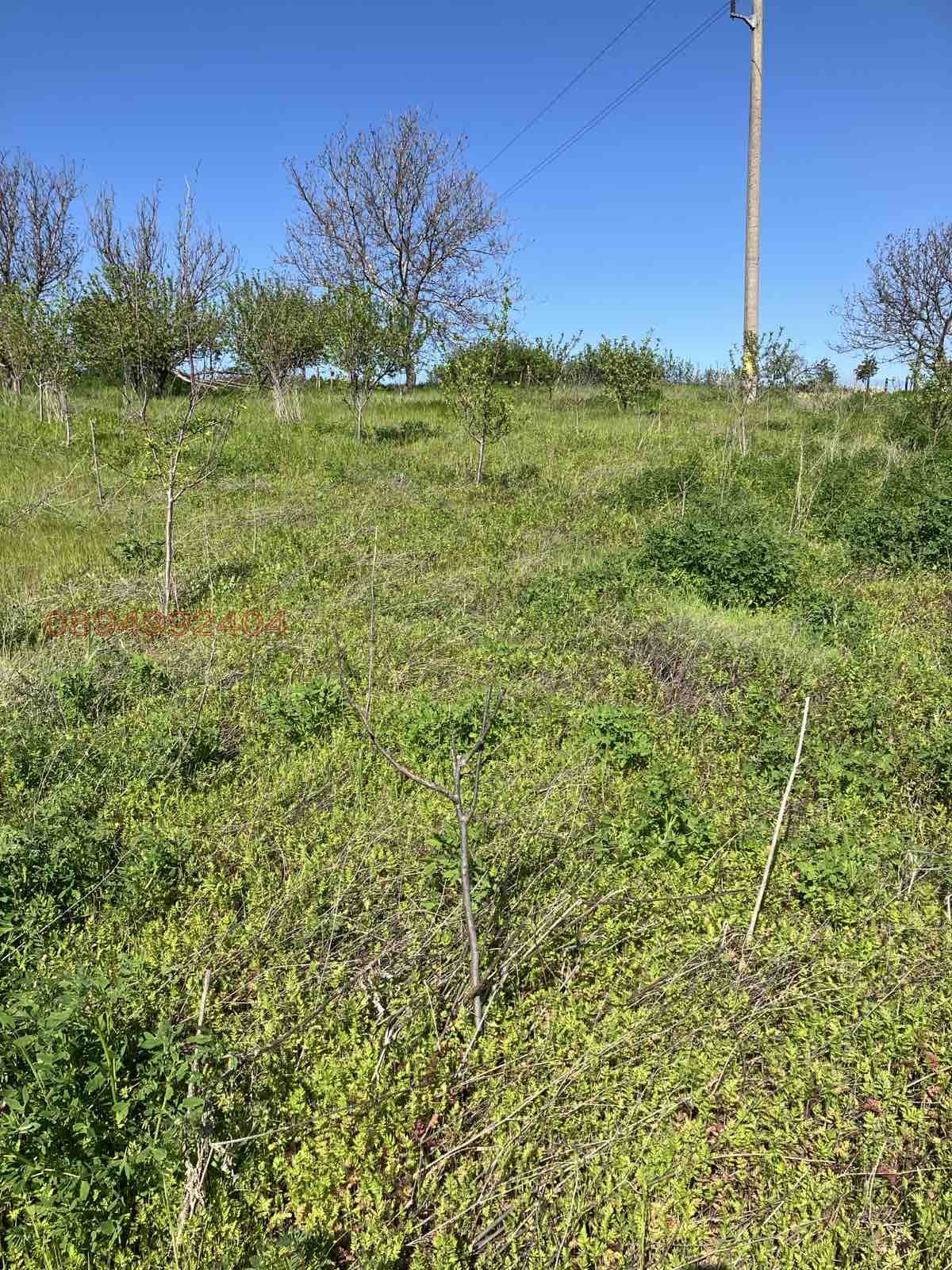 Продава ПАРЦЕЛ | Imot.bg — изображение 8