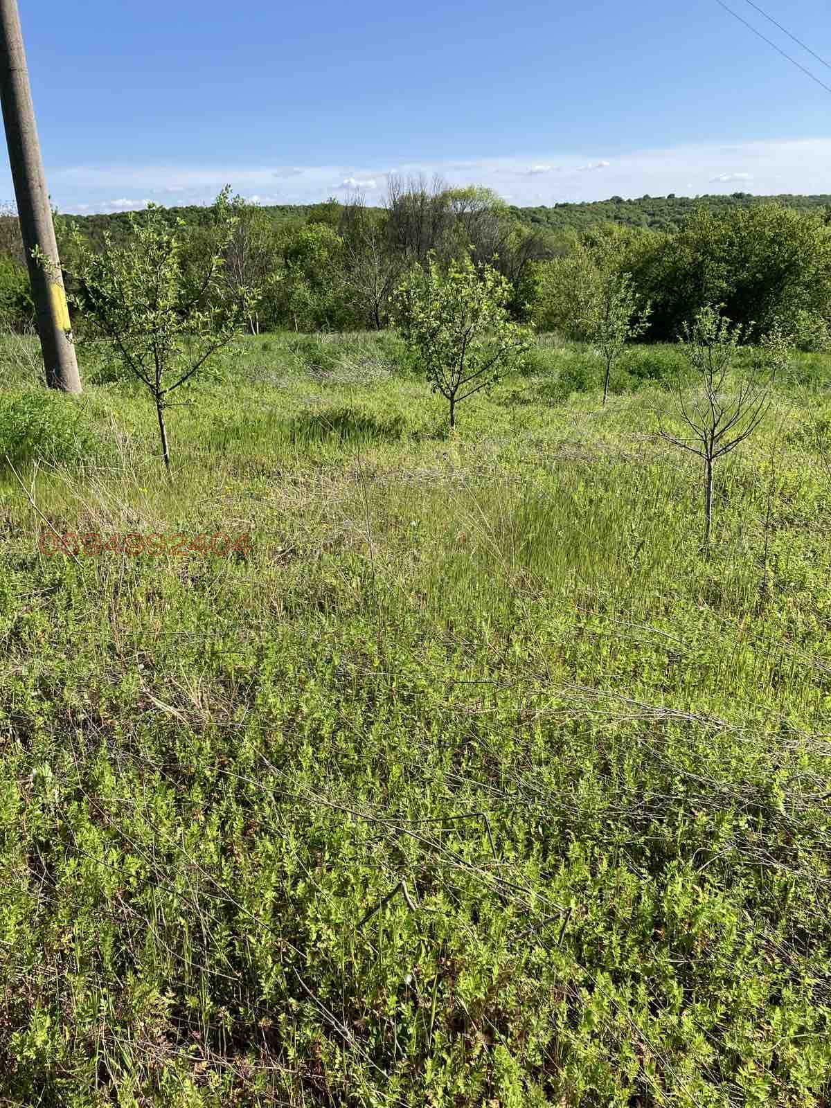 Продава ПАРЦЕЛ | Imot.bg — изображение 7