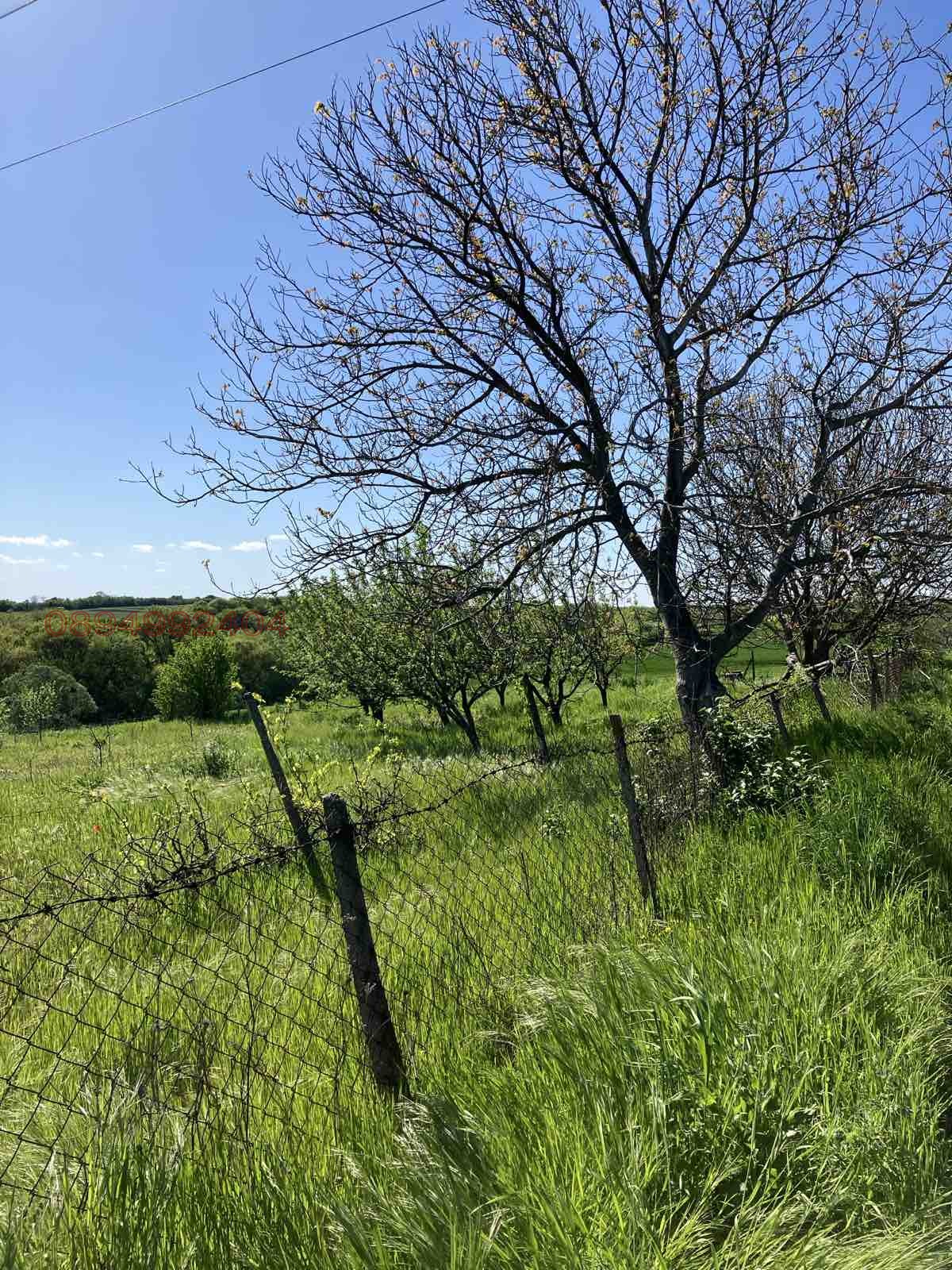 Продава ПАРЦЕЛ | Imot.bg — изображение 10