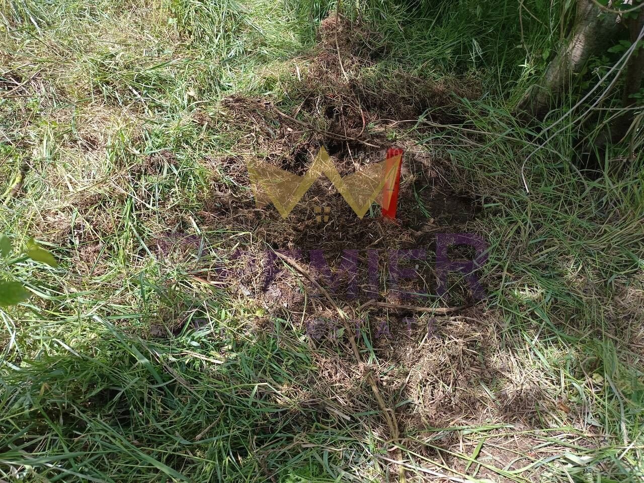 ������� ������ | Imot.bg � ����������� 8