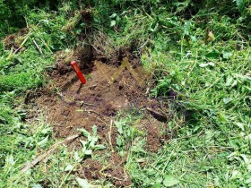 ������� ������ | Imot.bg � ����� ������ 7