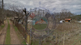 ����� ������� ������,���� ������, �-� ��������