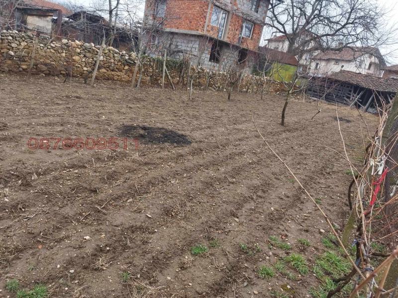 Продава ПАРЦЕЛ, с. Крайници, област Кюстендил, снимка 4 - Парцели - 52787371
