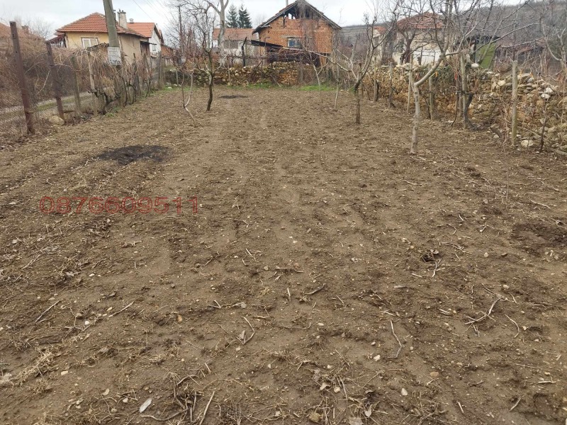 Продава ПАРЦЕЛ, с. Крайници, област Кюстендил, снимка 6 - Парцели - 52787371