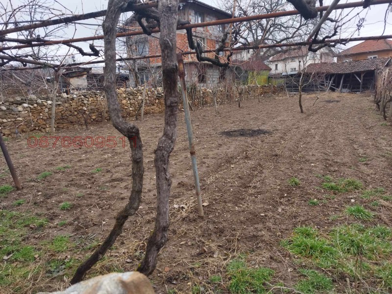 Продава ПАРЦЕЛ, с. Крайници, област Кюстендил, снимка 3 - Парцели - 52787371
