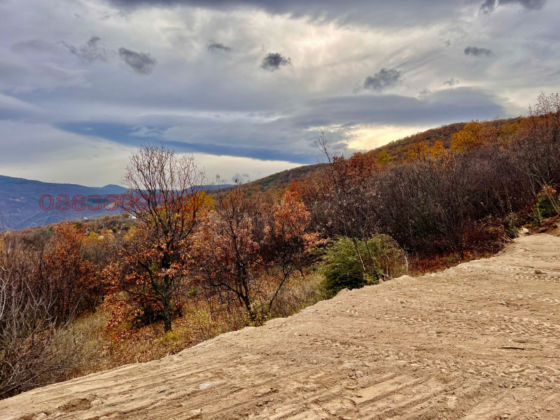 Продава ПАРЦЕЛ, с. Храбрино, област Пловдив, снимка 8 - Парцели - 52470657