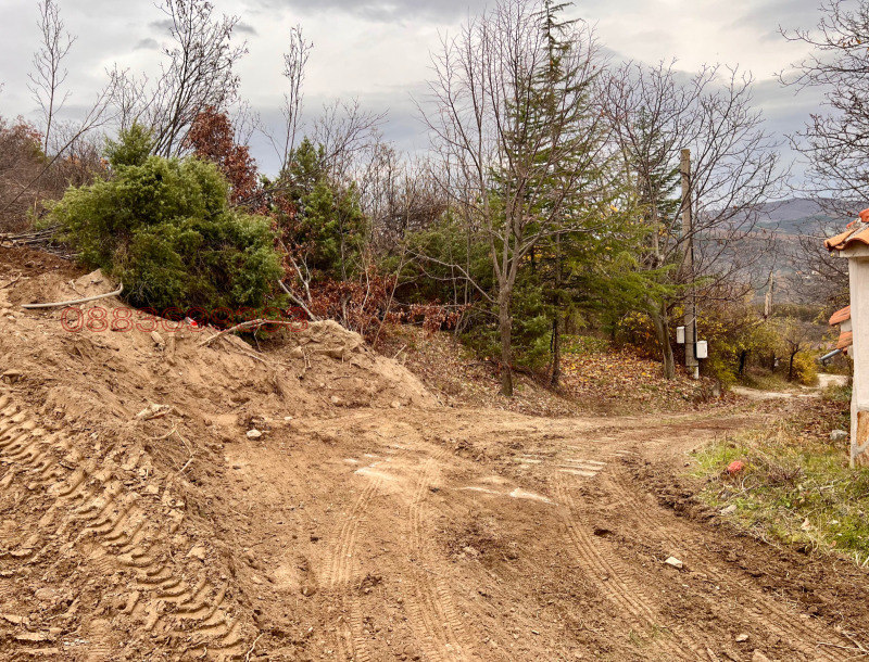 Продава ПАРЦЕЛ, с. Храбрино, област Пловдив, снимка 10 - Парцели - 52470657