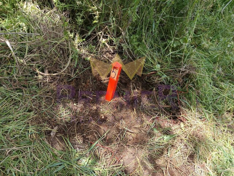 Продава ПАРЦЕЛ, с. Водица, област Варна, снимка 4 - Парцели - 52705435