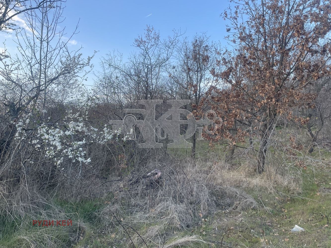 Продава ПАРЦЕЛ | Imot.bg — изображение 3