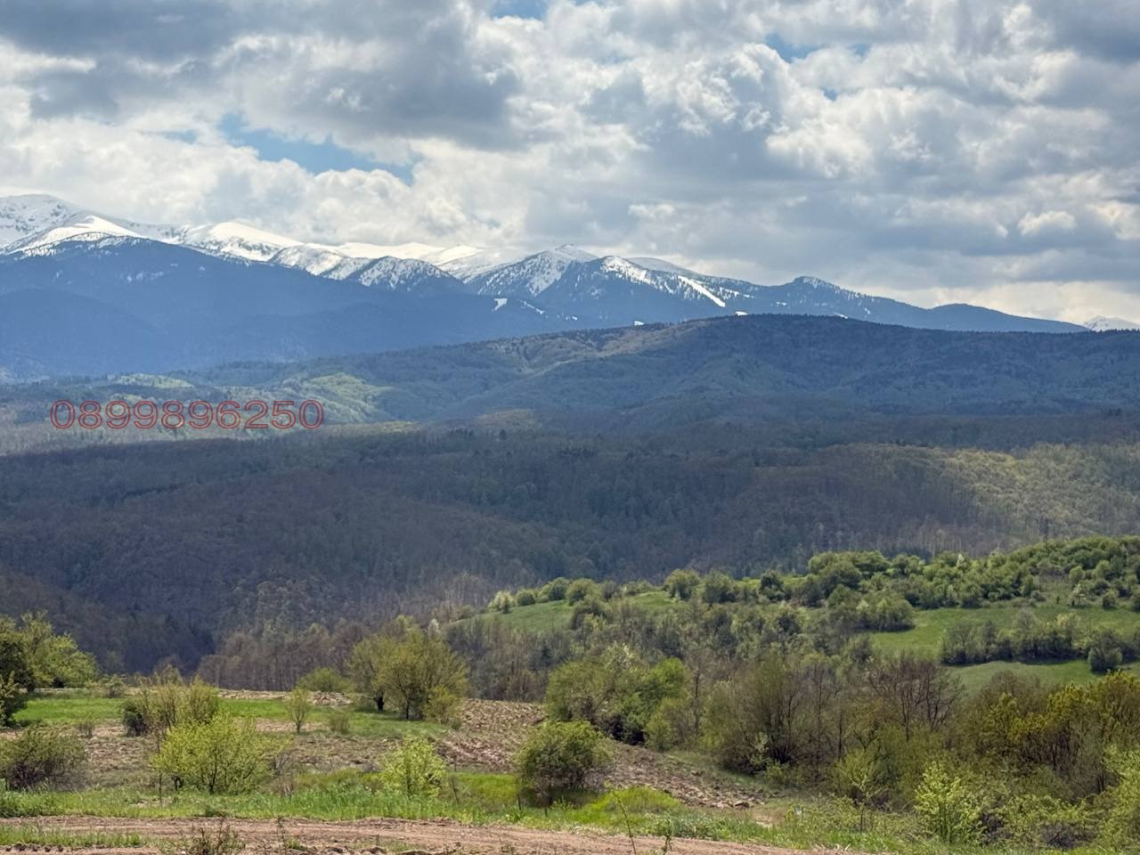 ������� ������ | Imot.bg � ����������� 2