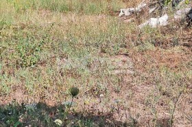 ������� ������ | Imot.bg � ����� ������ 11