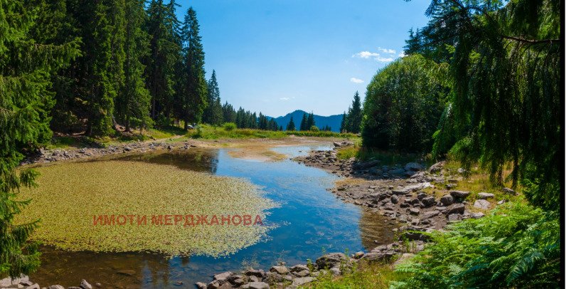 Продается  1 спальня область Смолян , к.к. Пампорово , 66 кв.м | 72905792 - изображение [13]