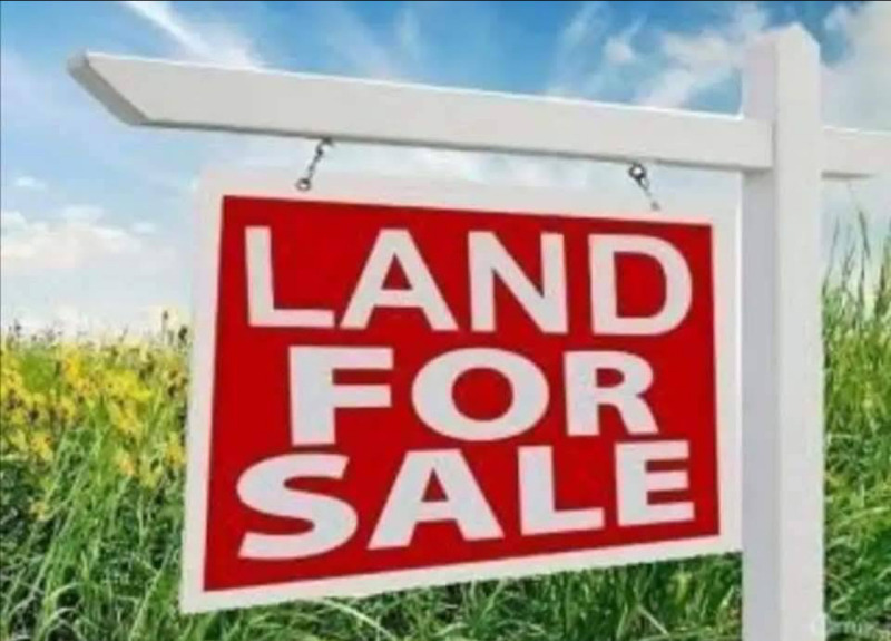 Продаја  Плот регион Софиа , Костенец , 2550 м2 | 81134210 - слика [2]