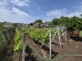 Продава КЪЩА, с. Щръклево, област Русе, снимка 15