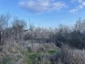 Продава ПАРЦЕЛ, гр. Варна, м-т Боровец - юг, снимка 2
