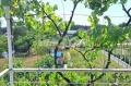 Продава ПАРЦЕЛ, гр. Варна, м-т Перчемлията, снимка 2