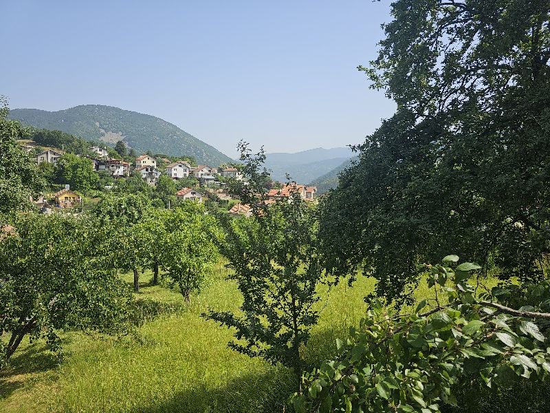 ������� ������ | Imot.bg � ����������� 7