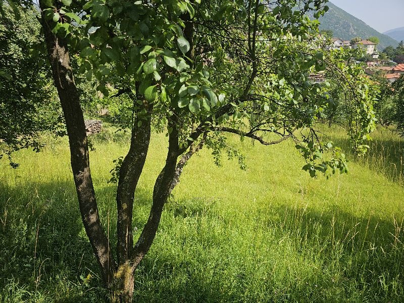 ������� ������ | Imot.bg � ����������� 12