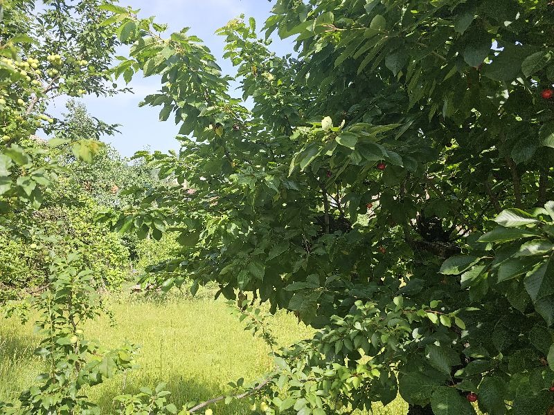 ������� ������ | Imot.bg � ����������� 15