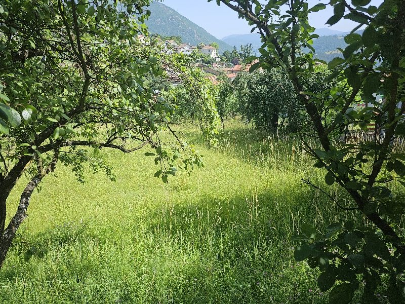 ������� ������ | Imot.bg � ����������� 11