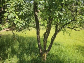 Парцел гр. Своге, област София 13