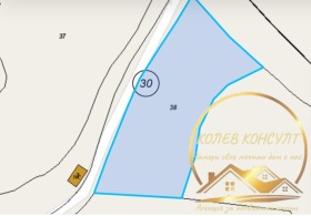 ����� ������� ������,�. ����� �������, ������ �������