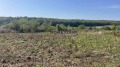 Продава ПАРЦЕЛ, с. Кривини, област Варна, снимка 5