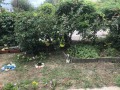 Продава 1-СТАЕН, град Варна, Виница • 53560 € • 76877285 — Holmes.bg