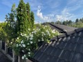 Продава КЪЩА, град София, гр. Банкя • 890000 € / 1740688.70 лв. • 92852234 16