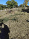 Продава  Парцел област Перник , с. Селищен дол , 750 кв.м | 39069204 - изображение [4]
