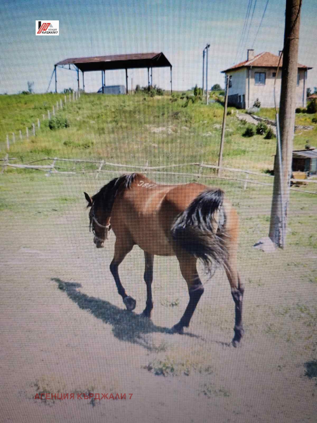 ������� ����. ��������� | Imot.bg � ����������� 8