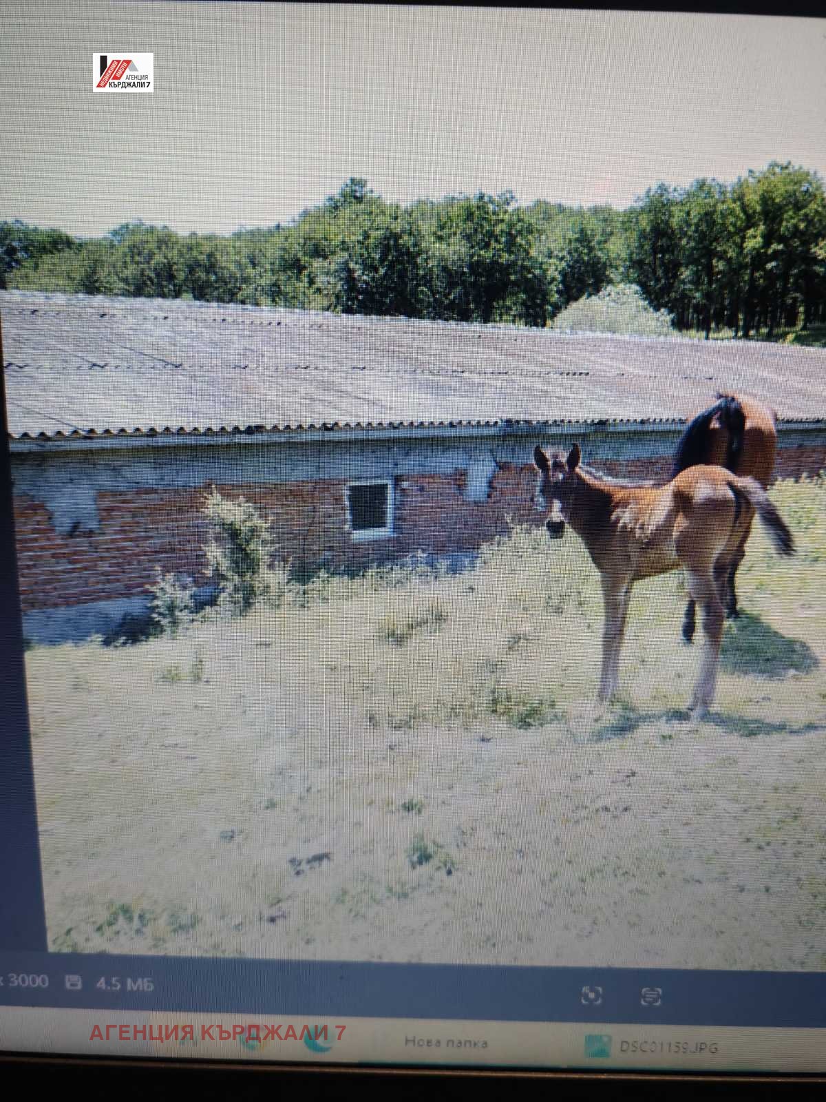 ������� ����. ��������� | Imot.bg � ����������� 7