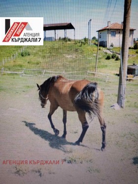 ������� ����. ��������� | Imot.bg � ����� ������ 8