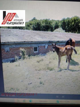 ������� ����. ��������� | Imot.bg � ����� ������ 7