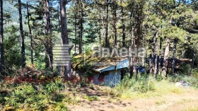 ����� ������� ������,�. ����� �������, ������ �����