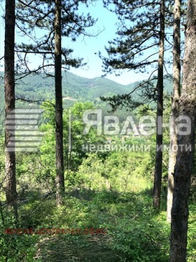 ������� ������ | Imot.bg � ����� ������ 2