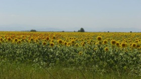 ������� ���������� ���� | Imot.bg � ����� ������ 4