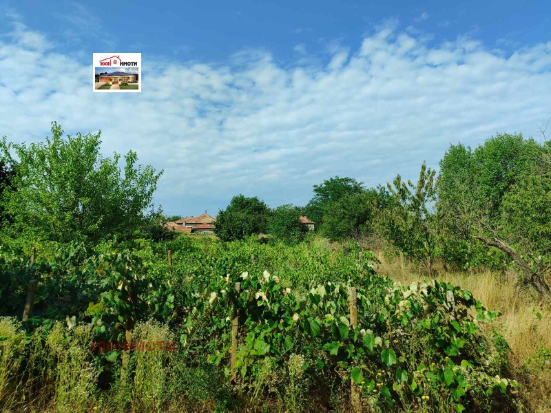 À venda  Casa região Dobrich , Miladinovci , 100 m² | 43772670 - imagem [6]