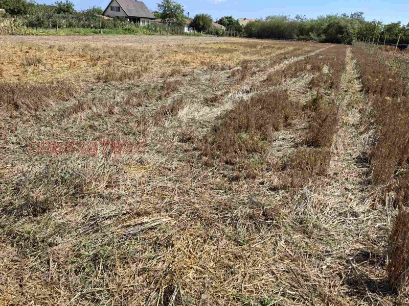 Продава ПАРЦЕЛ, с. Камен бряг, област Добрич, снимка 3 - Парцели - 52780656