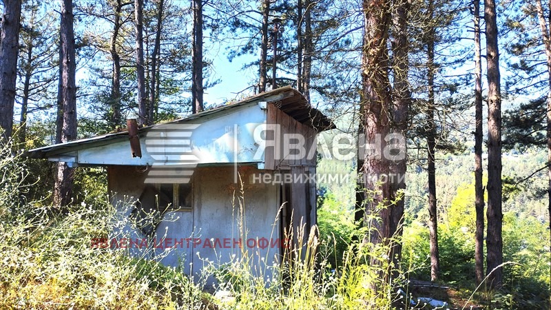 Продава ПАРЦЕЛ, с. Владо Тричков, област София област, снимка 3 - Парцели - 53921059