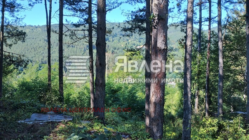 Продава ПАРЦЕЛ, с. Владо Тричков, област София област, снимка 8 - Парцели - 53921059