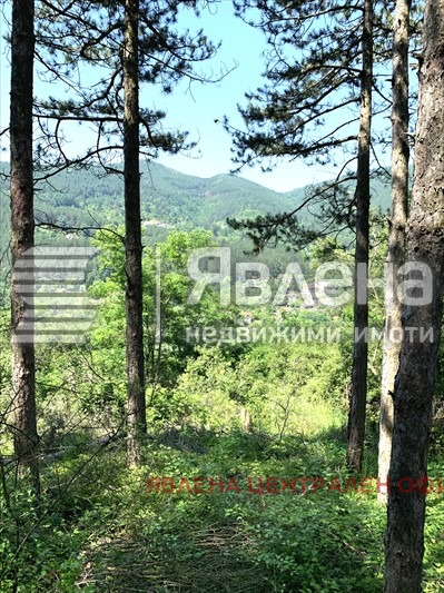 Продава ПАРЦЕЛ, с. Владо Тричков, област София област, снимка 2 - Парцели - 53921059