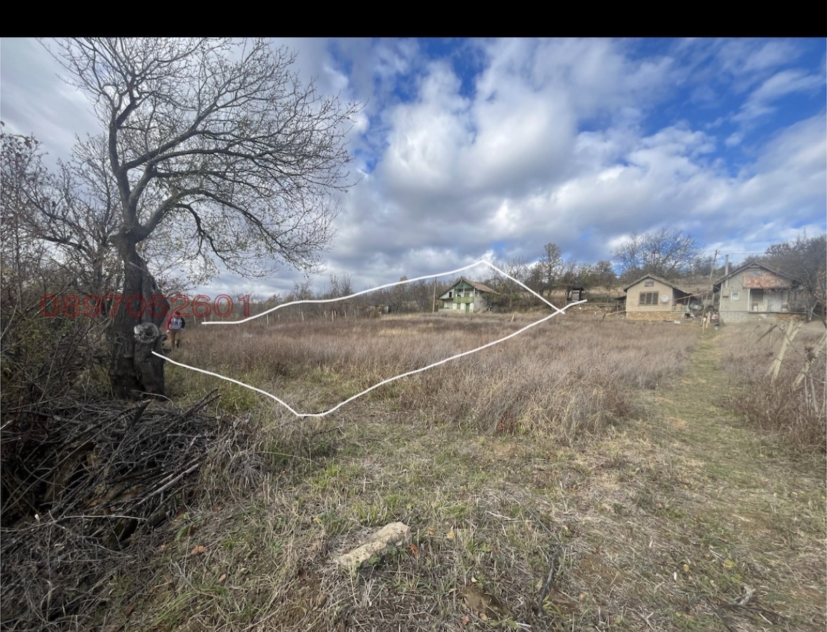 Продава ВИЛА, гр. Дряново, област Габрово, снимка 2 - Вили - 53933060